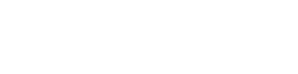 Brands Infusion logo