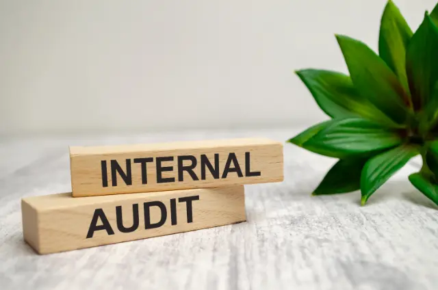 Internal Audit Trail Automation